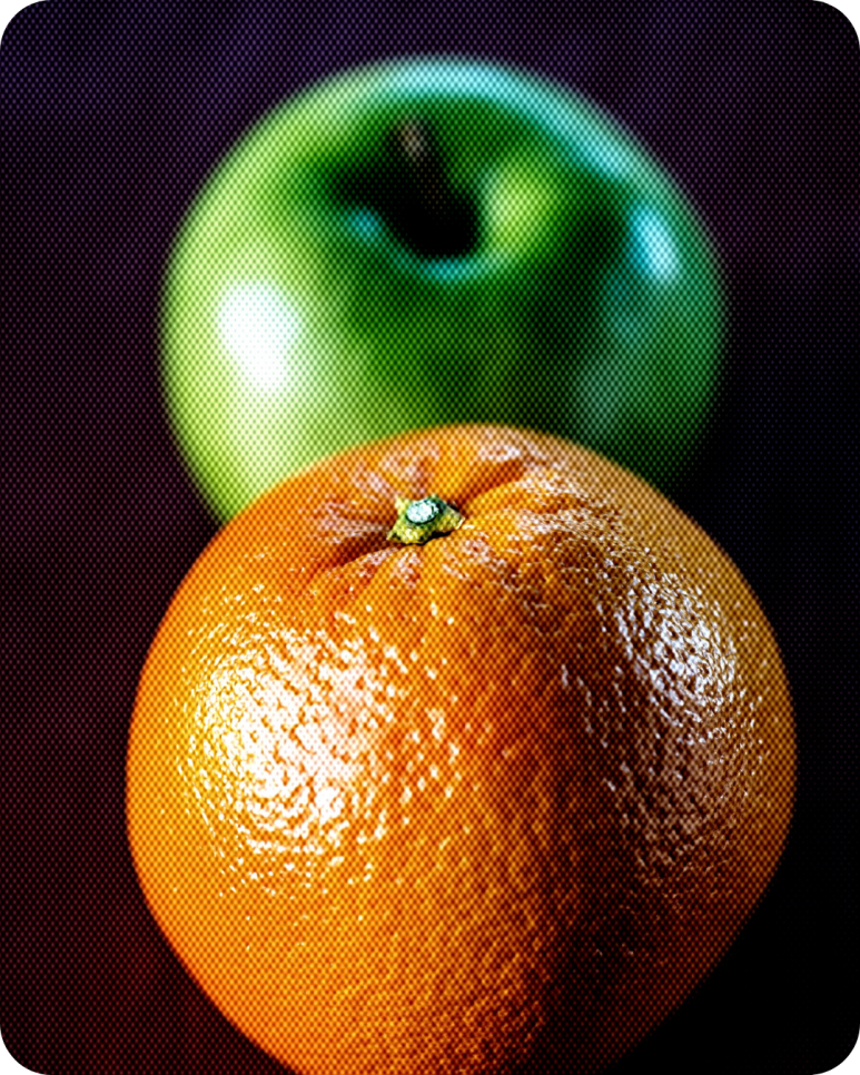 상속포기 사해행위 - 해마루의 대응